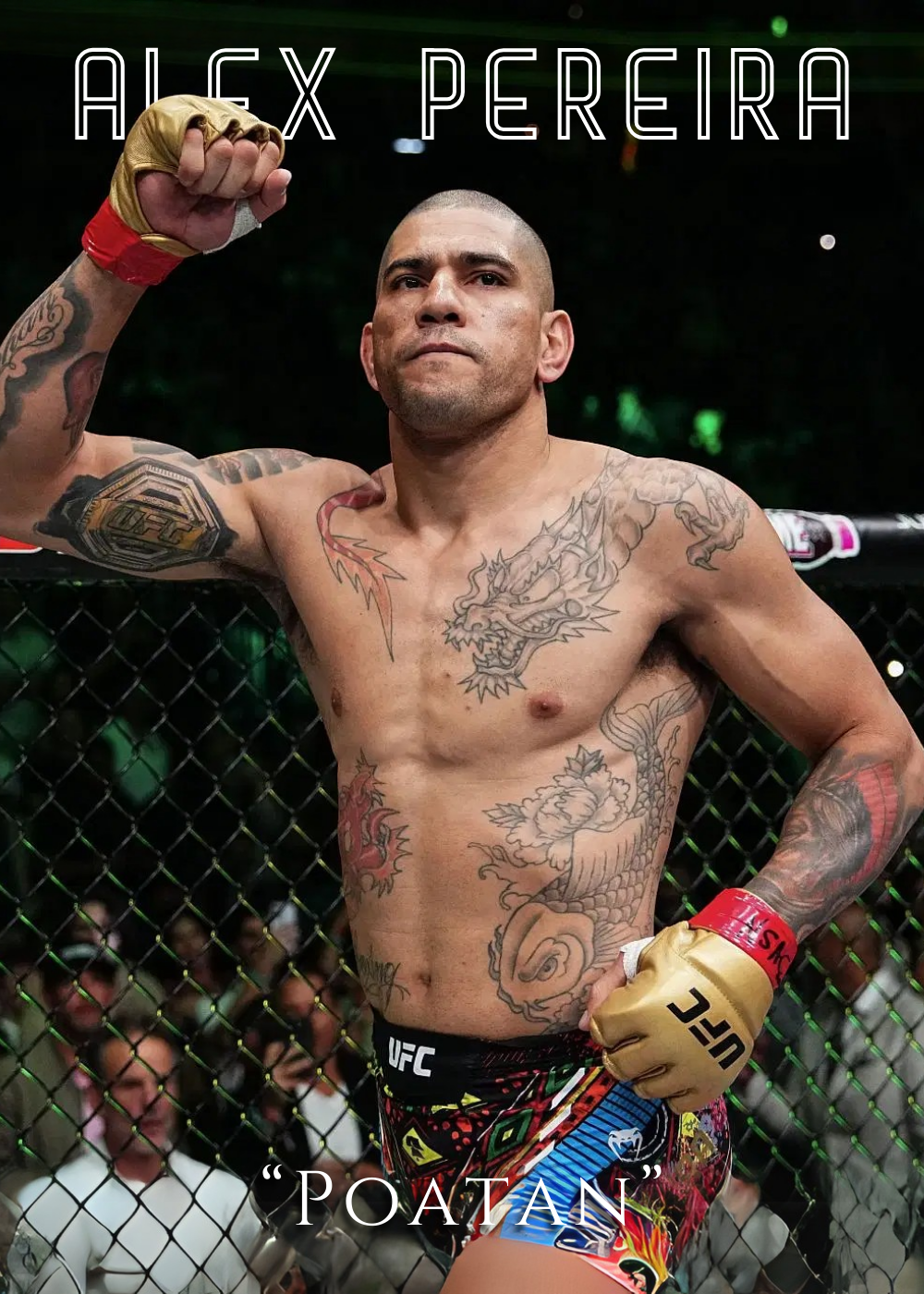 Poatan' MMA Kampioen Muurdecoratie | Alex Pereira | UFC Posters | Wanddecoratie | Canvas Kunst