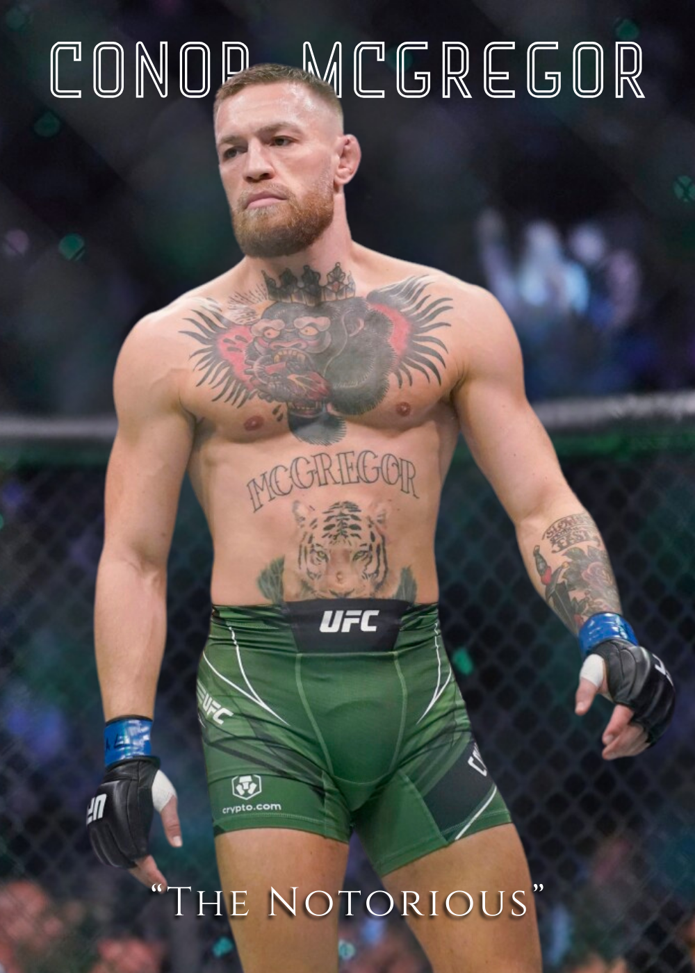 The Notorious MMA Fighter | Conor McGregor Poster | Muurdecoratie | Wanddecoratie | Canvas | Schilderijen