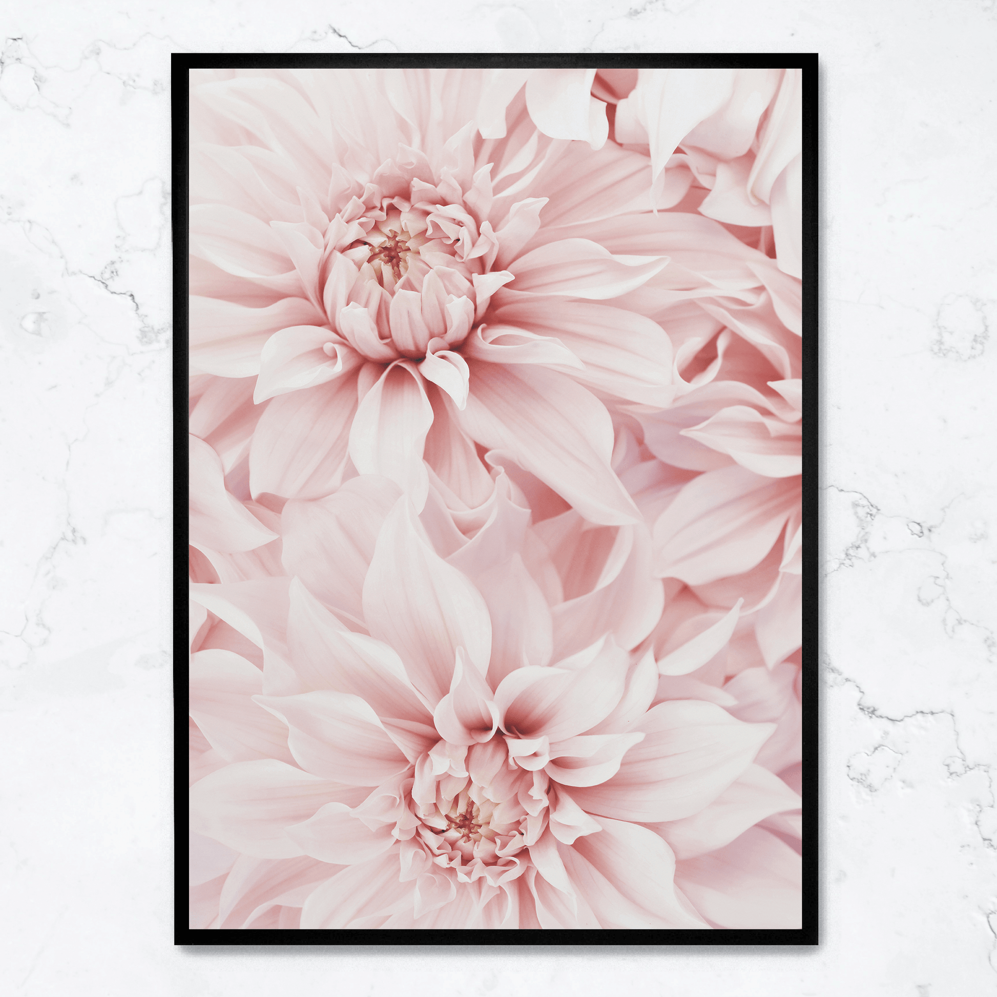 Pink Dahlia Bloom poster | Muurdecoratie bloemen | Wanddecoratie voor huis en tuin | Schilderijen kunst