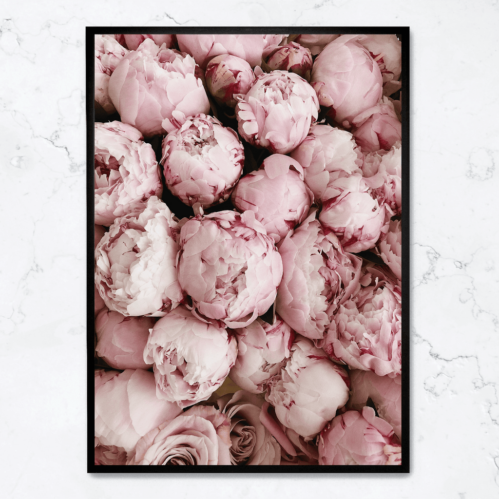Pink Rose Blooms | Romantische Bloemendecoratie | Muurdecoratie | Posters voor Woonkamer | Natuur Schilderijen | Wanddecoratie voor Slaapkamer of Kantoor