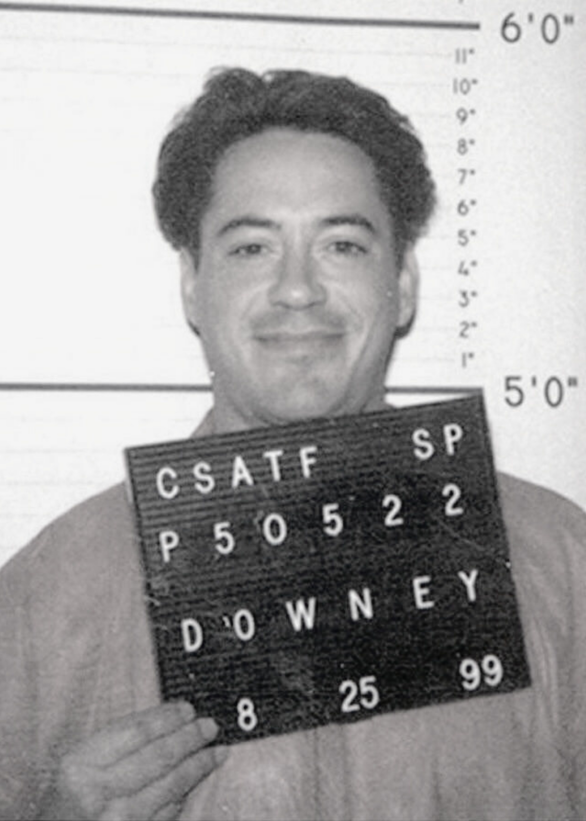 Robert Downey Jr. Inspired Art | Wanddecoratie Muurdecoratie | Celebrity Mugshot Poster | Unieke Kunst voor Huis en Tuin | Filmster Decoratie | Posters en Schilderijen | Canvas Kunst