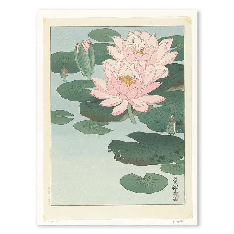 Ohara Koson Lotus Blossoms on Water | Muurdecoratie | Japanse Ukiyo-e | Wanddecoratie | Posters