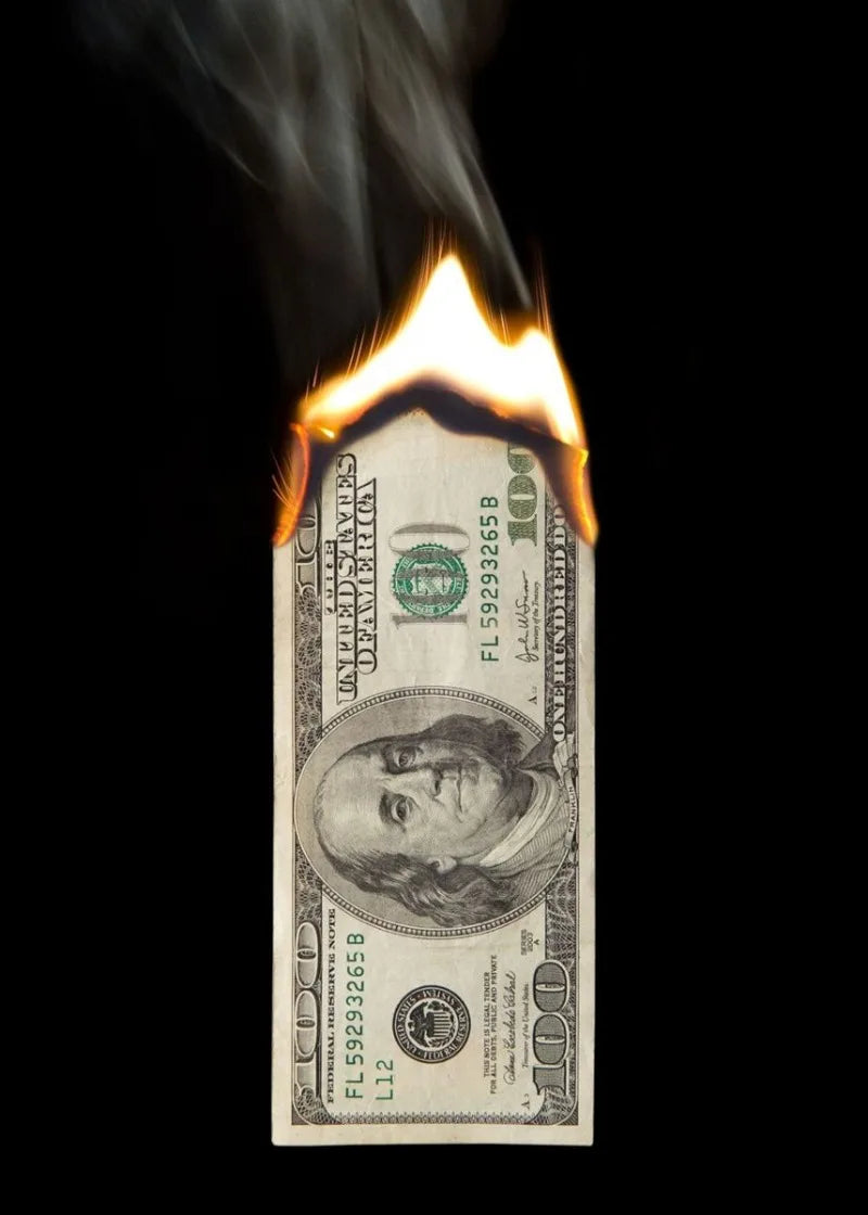 Burning Money Poster | Muurdecoratie | Wanddecoratie | Honderd Dollar Biljet in Vuur | Posters | Schilderijen
