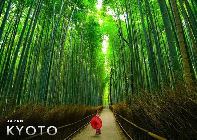 Arashiyama Bamboo Grove Kyoto Posters | Muurdecoratie | Japanse Architectuur | Wanddecoratie Kunst