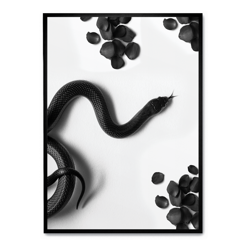 Black Snake Roam | Muurdecoratie Wildlife | Dieren Poster | Wanddecoratie Natuur Illustratie Kunstwerken | Slangen Kunst