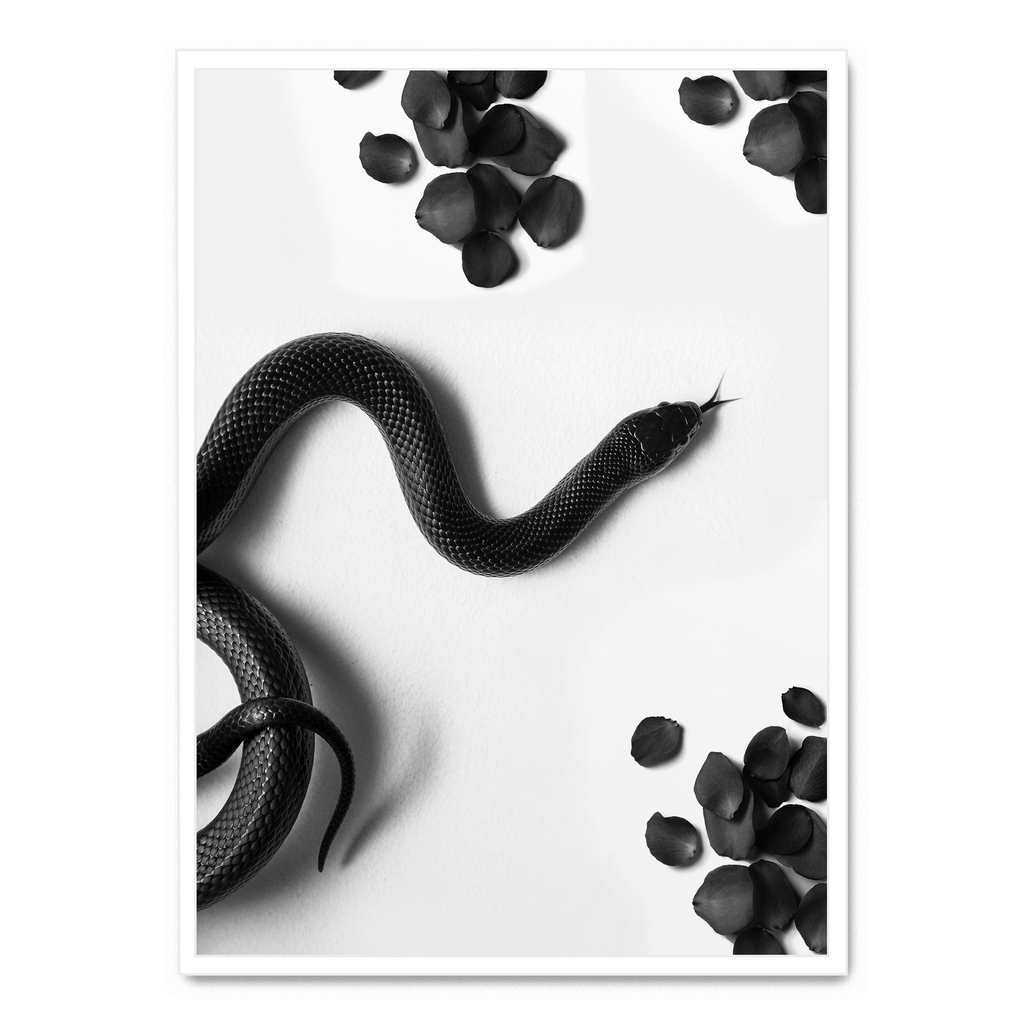Black Snake Roam | Muurdecoratie Wildlife | Dieren Poster | Wanddecoratie Natuur Illustratie Kunstwerken | Slangen Kunst