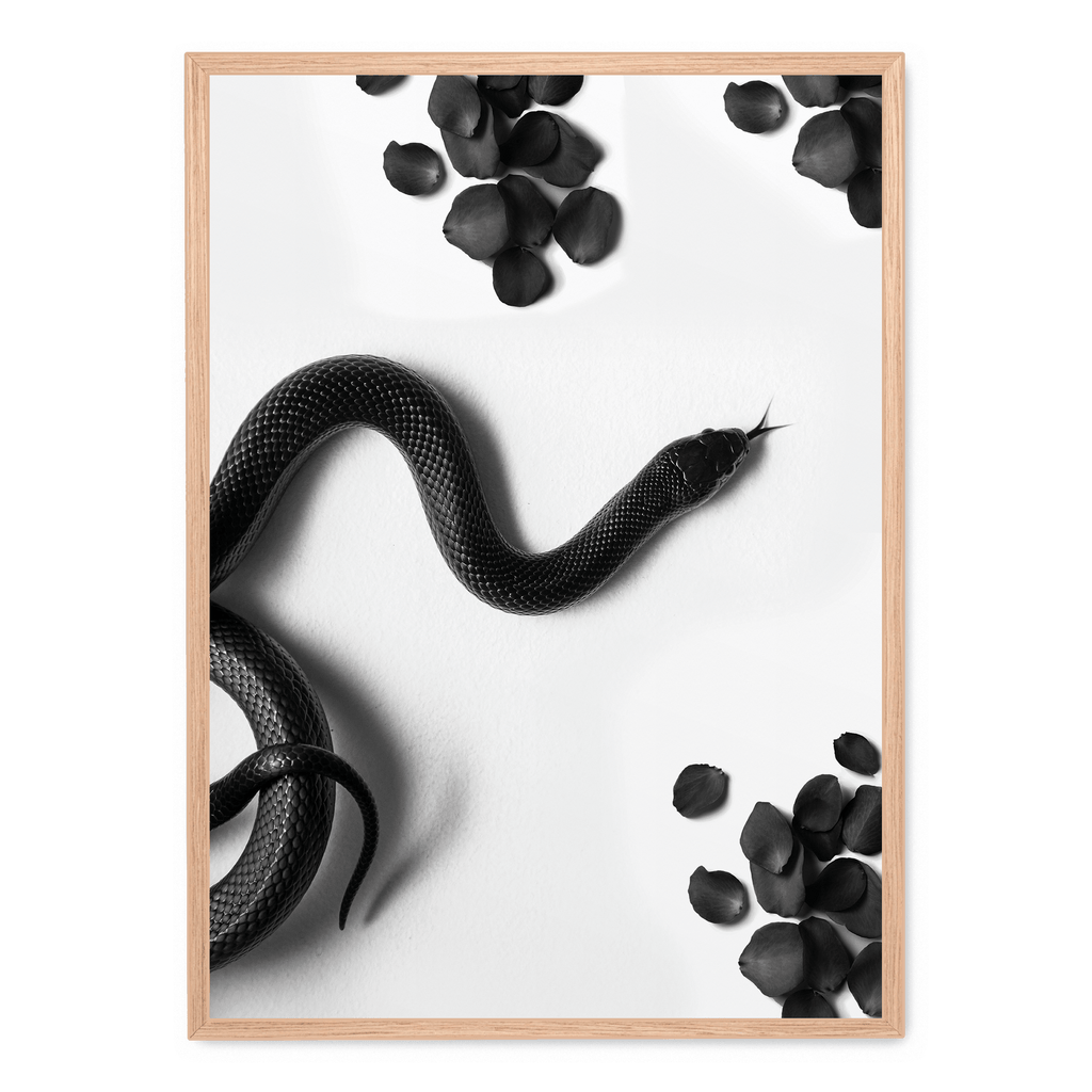 Black Snake Roam | Muurdecoratie Wildlife | Dieren Poster | Wanddecoratie Natuur Illustratie Kunstwerken | Slangen Kunst