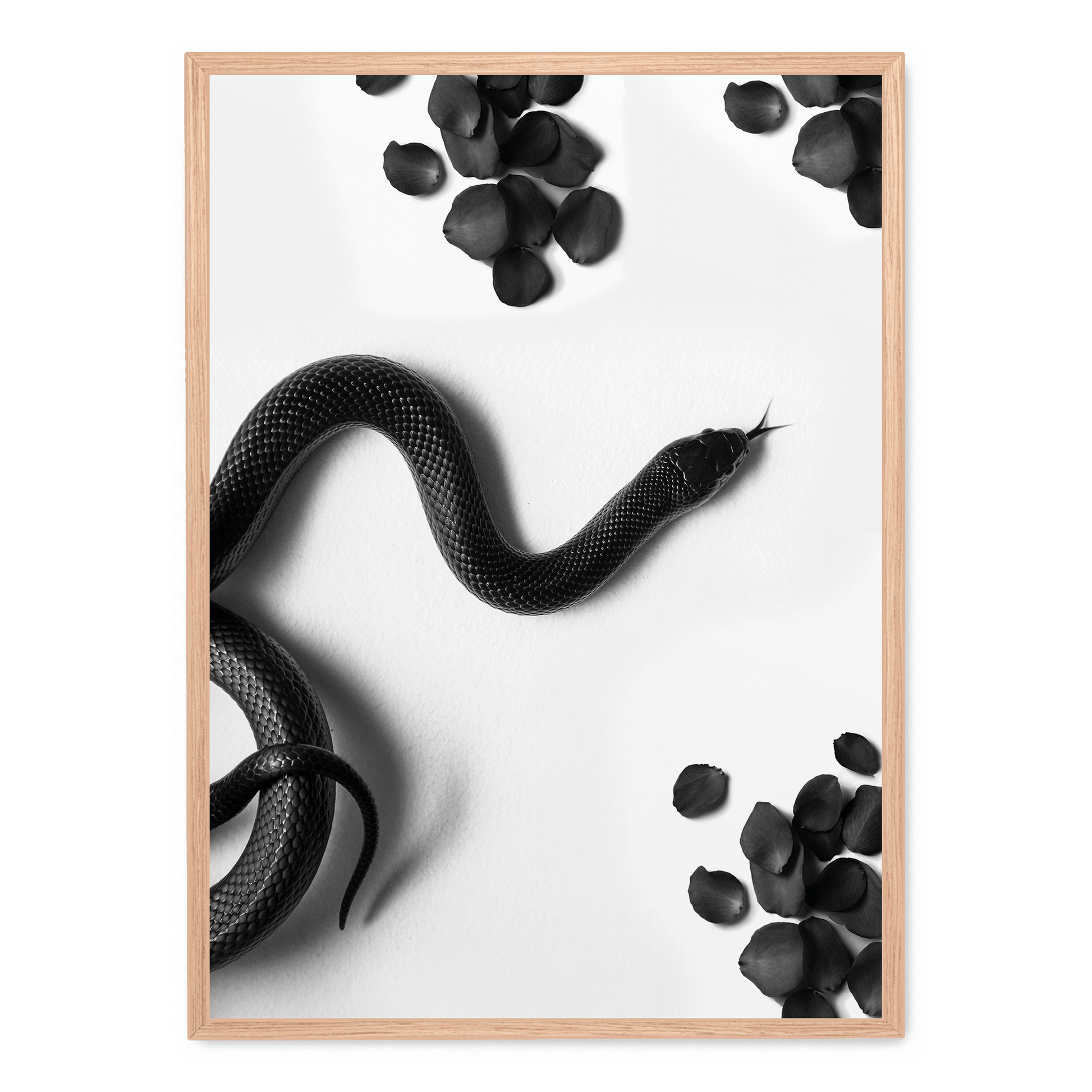 Black Snake Roam | Muurdecoratie Wildlife | Dieren Poster | Wanddecoratie Natuur Illustratie Kunstwerken | Slangen Kunst