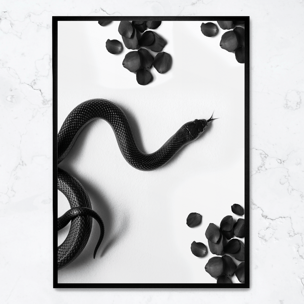 Black Snake Roam | Muurdecoratie Wildlife | Dieren Poster | Wanddecoratie Natuur Illustratie Kunstwerken | Slangen Kunst