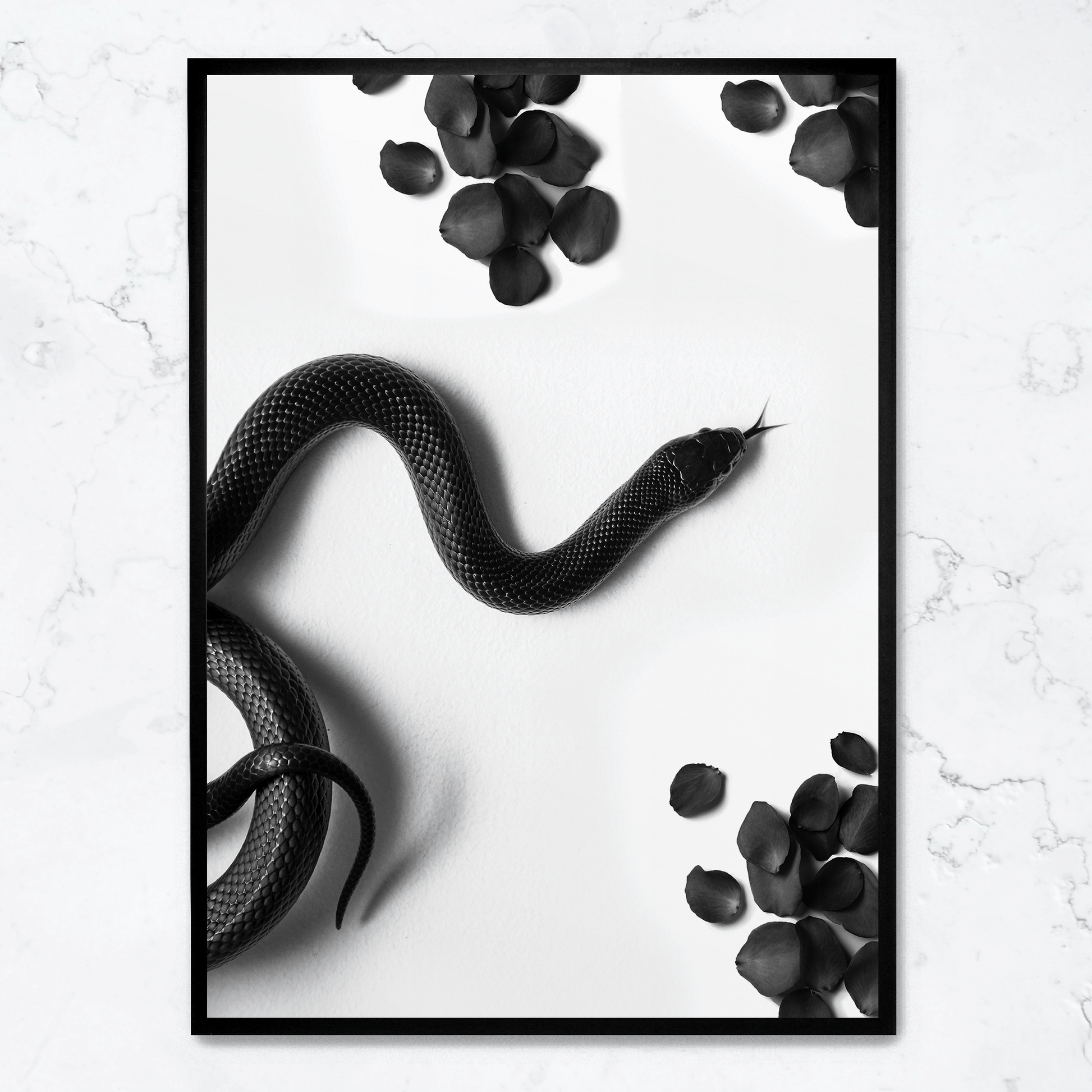 Black Snake Roam | Muurdecoratie Wildlife | Dieren Poster | Wanddecoratie Natuur Illustratie Kunstwerken | Slangen Kunst