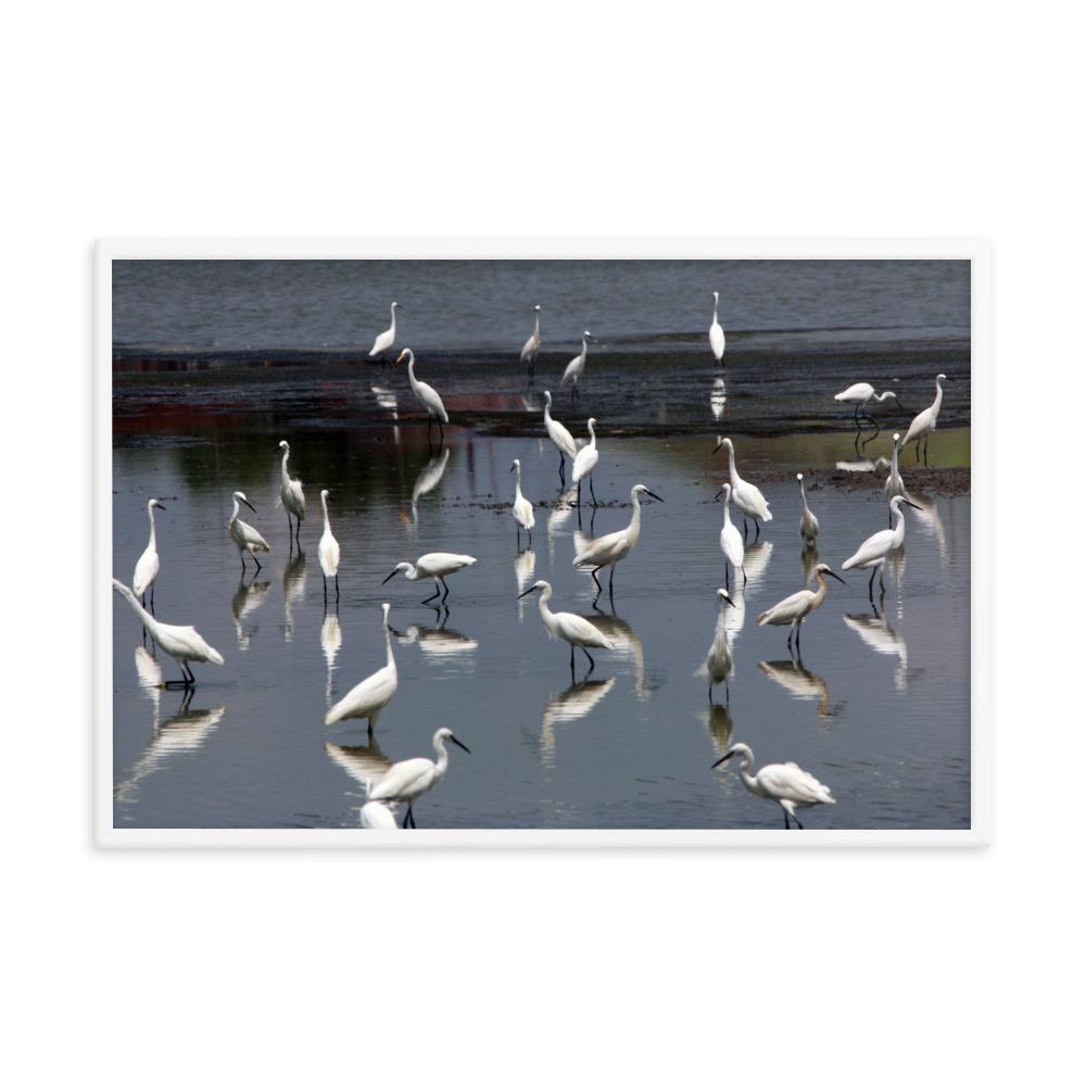 A Flock of Little Egrets | Muurdecoratie | Wanddecoratie | Posters | Schilderijen | Canvas kunst