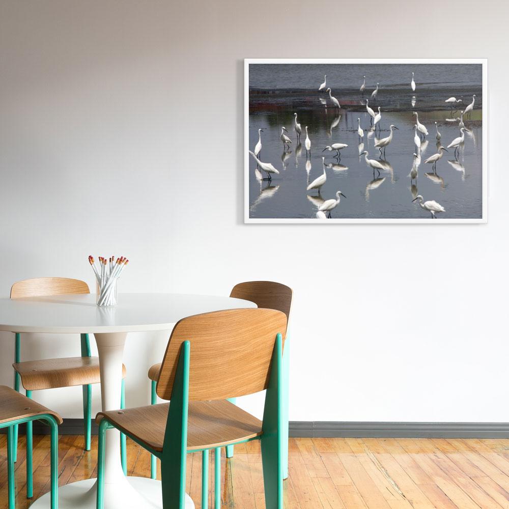 A Flock of Little Egrets | Muurdecoratie | Wanddecoratie | Posters | Schilderijen | Canvas kunst