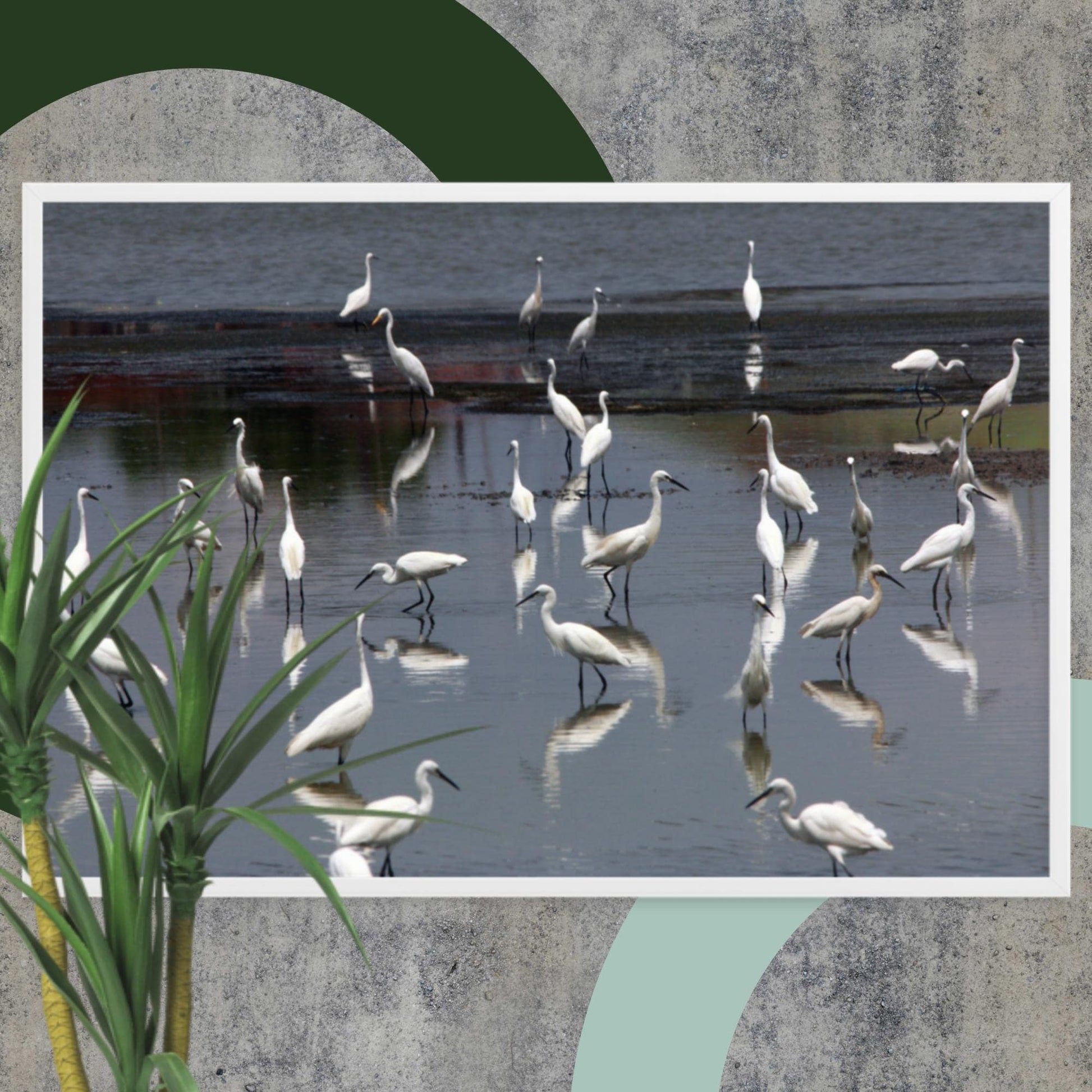 A Flock of Little Egrets | Muurdecoratie | Wanddecoratie | Posters | Schilderijen | Canvas kunst