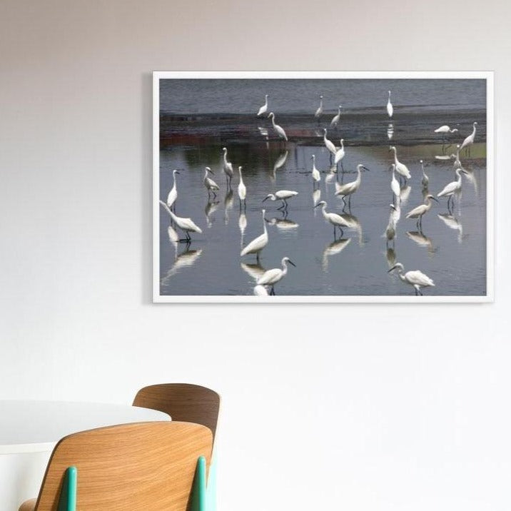 A Flock of Little Egrets | Muurdecoratie | Wanddecoratie | Posters | Schilderijen | Canvas kunst