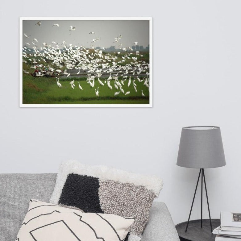 A flock of egrets | Muurdecoratie | Wanddecoratie | Posters | Schilderijen | Canvas kunst | Vogels in Natuur