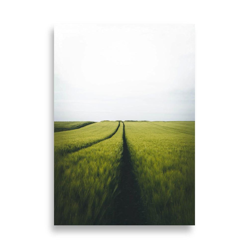 Gerstenfeld Barley Field | Wanddecoratie | Muurdecoratie | Posters | Schilderijen | Canvas Kunst