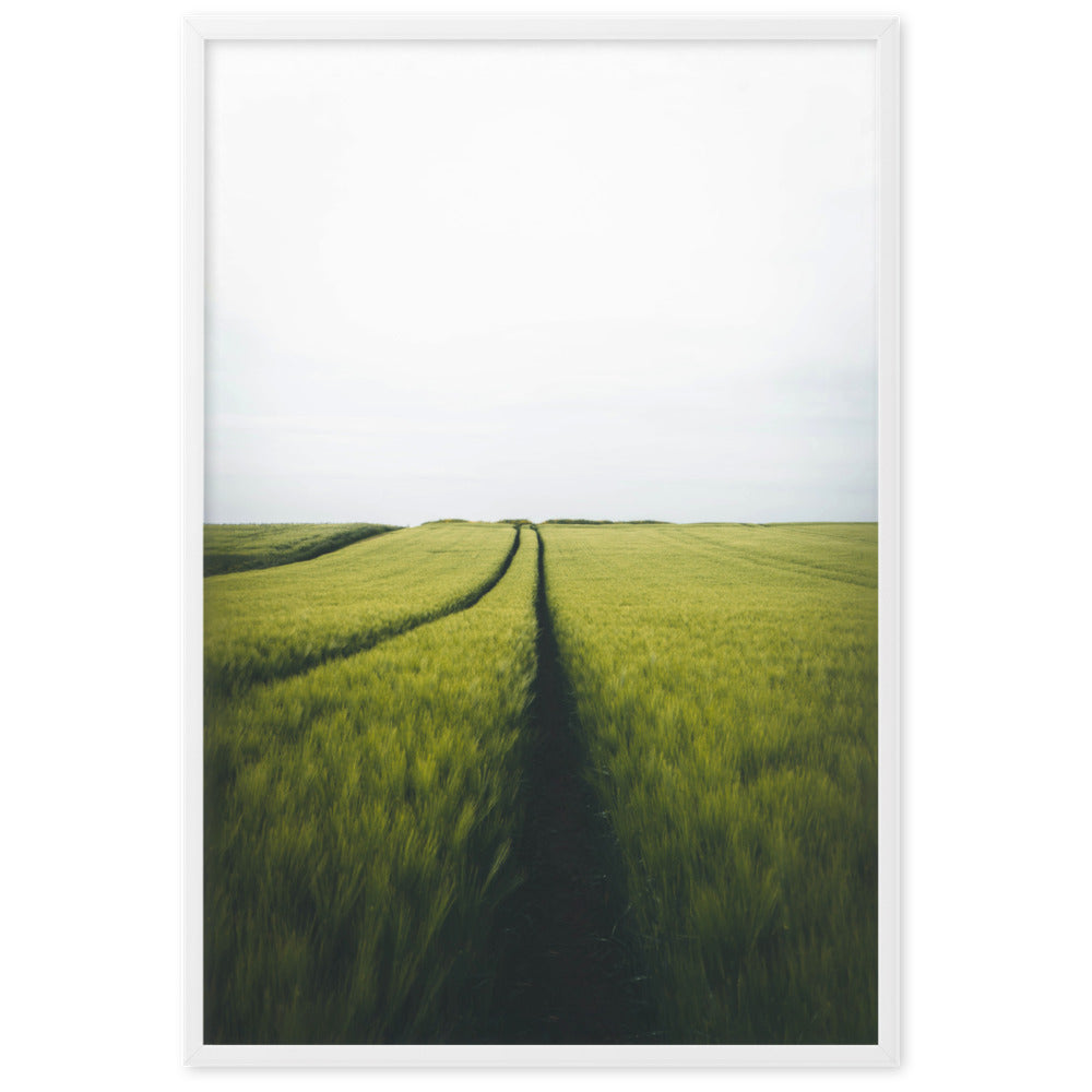 Gerstenfeld Barley Field | Wanddecoratie | Muurdecoratie | Posters | Schilderijen | Canvas Kunst