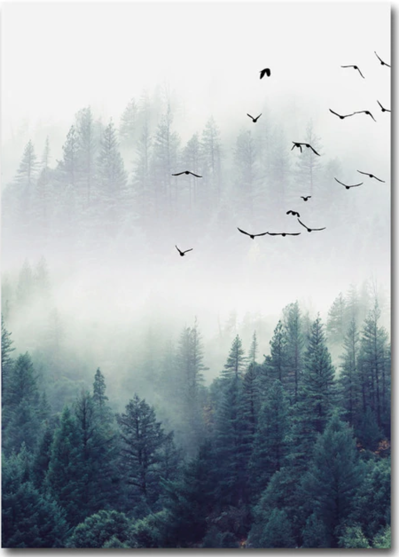Birds in Deep Fog | Posterset Drieluik | Natuur Wanddecoratie | Muurdecoratie Mistig Bos | Muurkunst