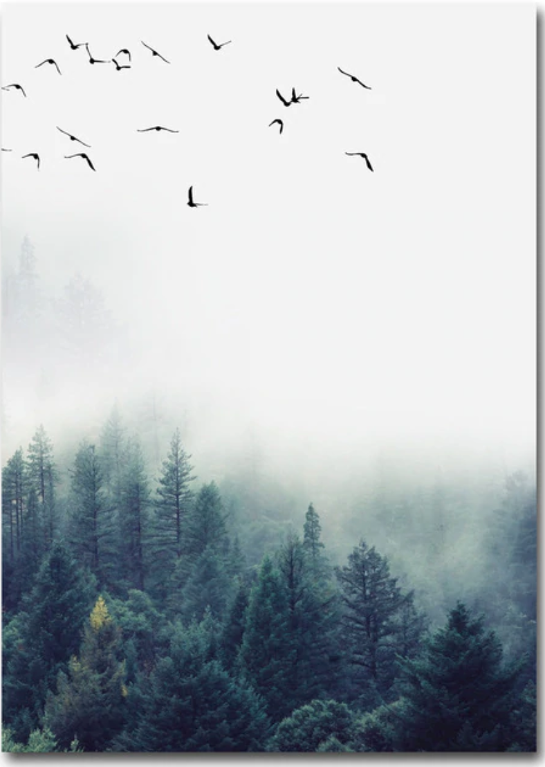 Birds in Deep Fog | Posterset Drieluik | Natuur Wanddecoratie | Muurdecoratie Mistig Bos | Muurkunst