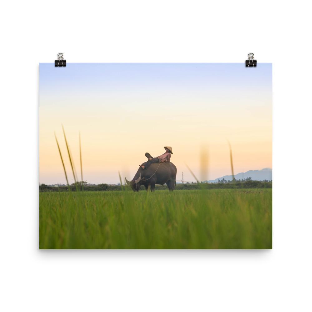 Peaceful Evening | Wanddecoratie | Muurdecoratie | Posters | Schilderijen | Canvas kunst | Kunstwerk voor thuis