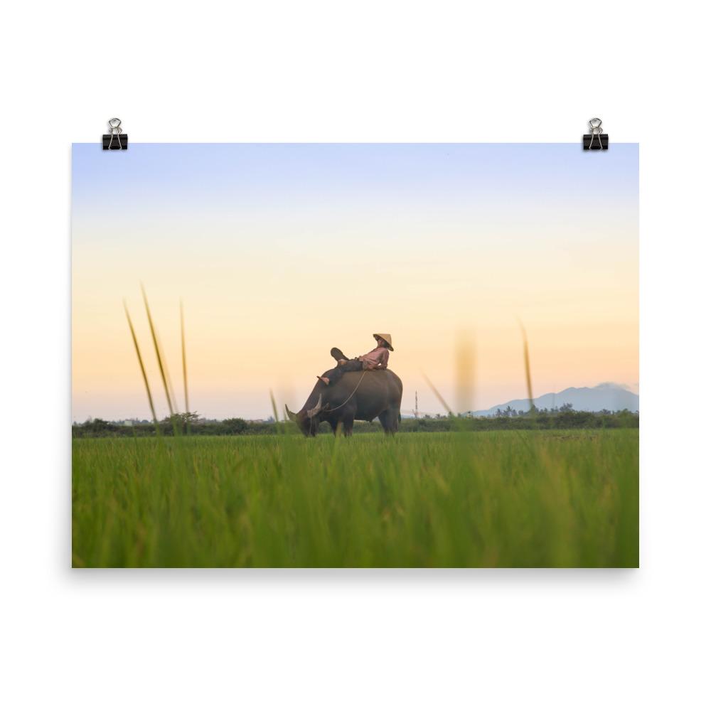 Peaceful Evening | Wanddecoratie | Muurdecoratie | Posters | Schilderijen | Canvas kunst | Kunstwerk voor thuis