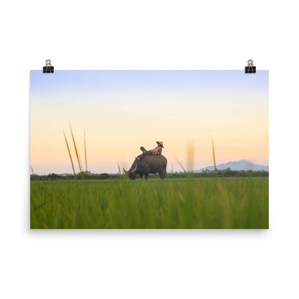 Peaceful Evening | Wanddecoratie | Muurdecoratie | Posters | Schilderijen | Canvas kunst | Kunstwerk voor thuis