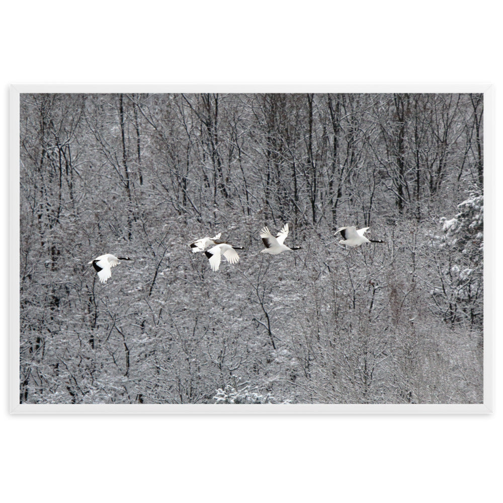 Flying Crane Family | Muurdecoratie | Wanddecoratie Posters | Schilderijen | Canvas Kunst