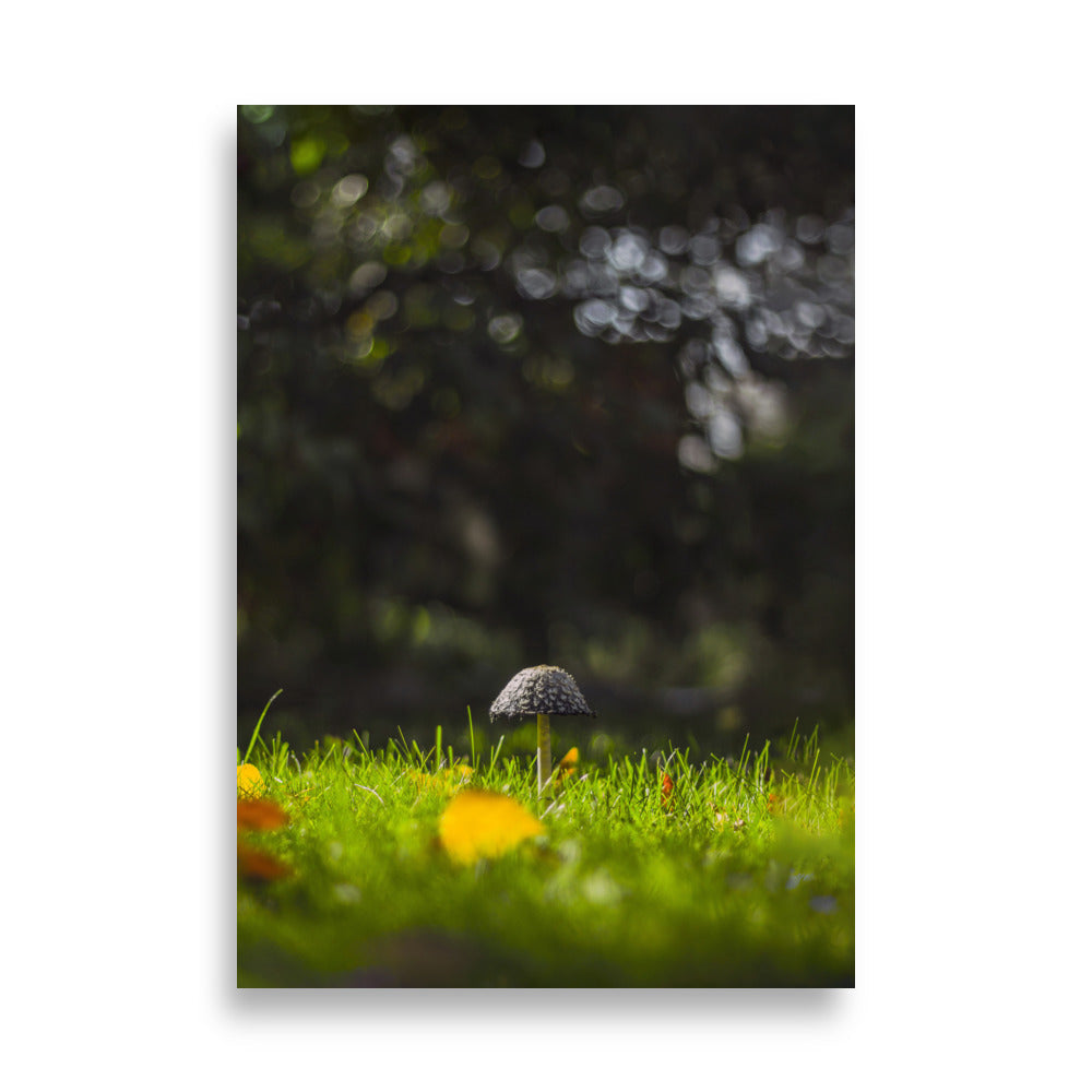 Mushroom | Muurdecoratie | Wanddecoratie | Posters | Schilderijen | Canvas kunst | Huis en tuin