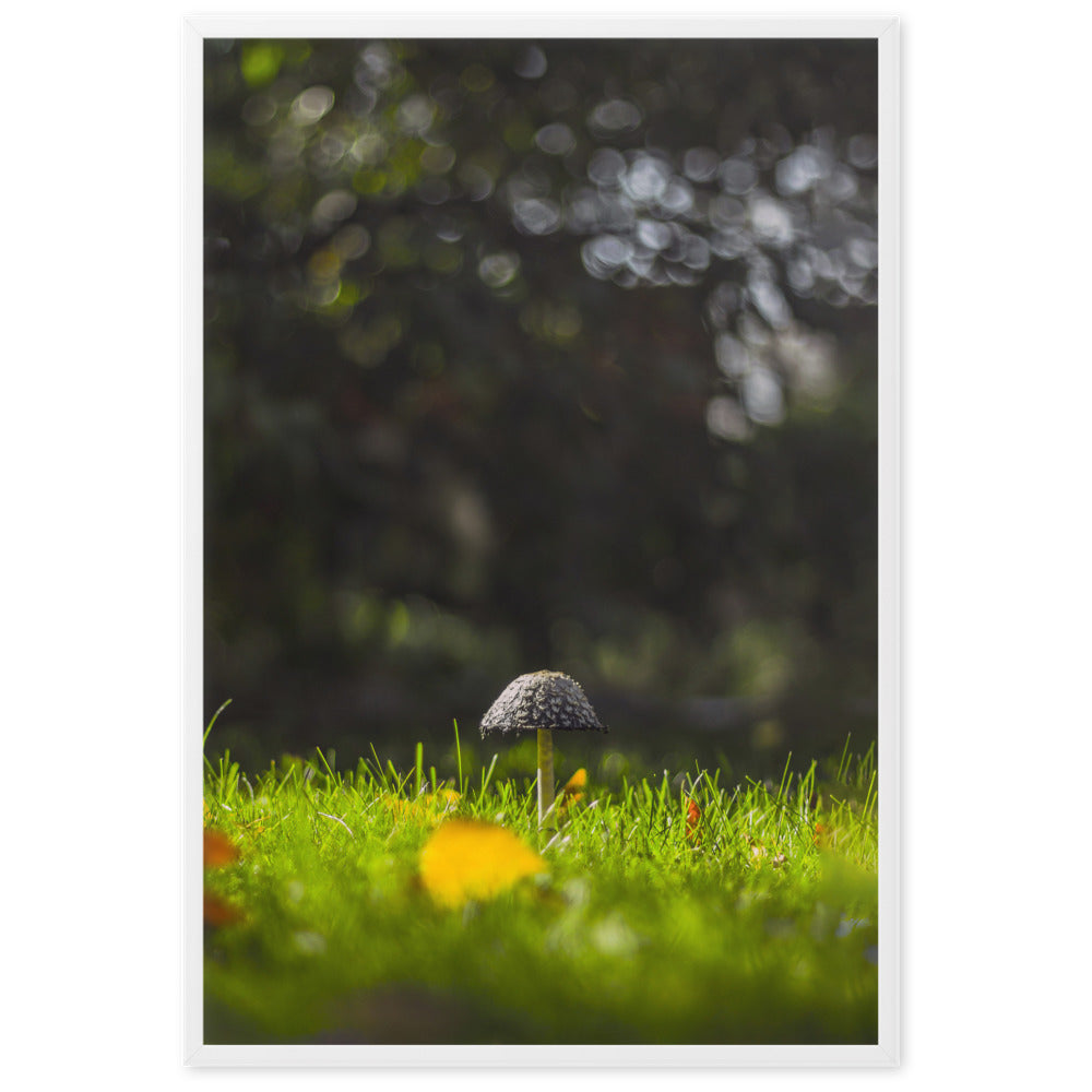 Mushroom | Muurdecoratie | Wanddecoratie | Posters | Schilderijen | Canvas kunst | Huis en tuin