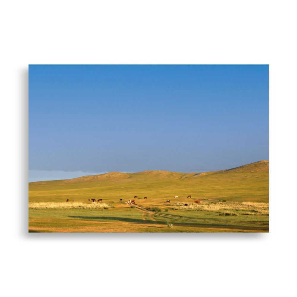 Steppe on a calm morning, Mongolia | Wanddecoratie | Muurdecoratie | Posters | Kunst | Visuele kunstwerken