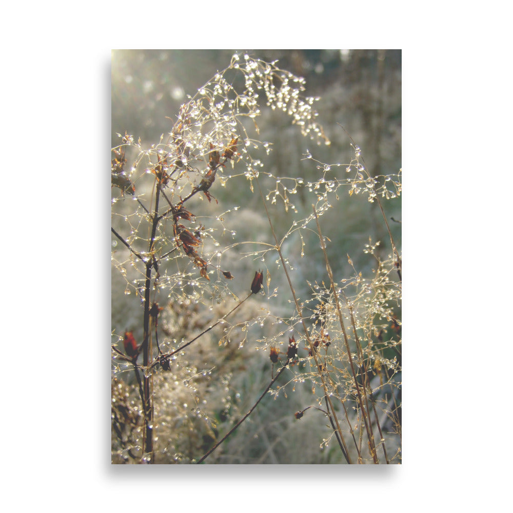 Winter Dews Posters | Muurdecoratie | Wanddecoratie | Visuele Kunstwerken | Huis en Tuin Decoratie