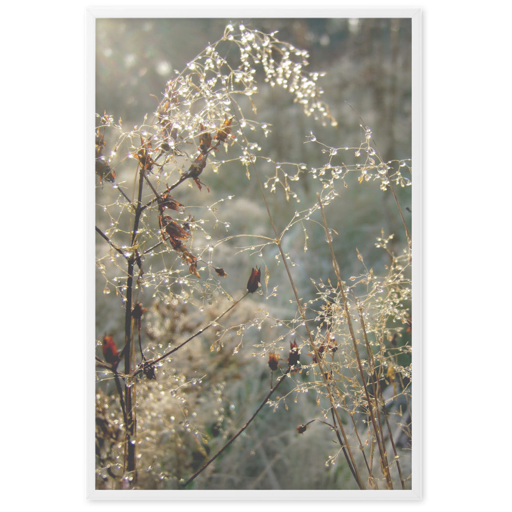 Winter Dews Posters | Muurdecoratie | Wanddecoratie | Visuele Kunstwerken | Huis en Tuin Decoratie