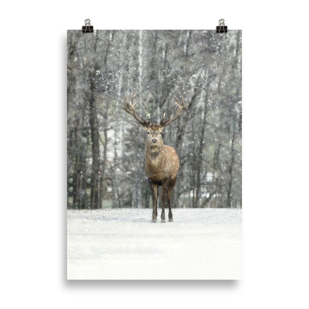 Hi Deer poster | Muurdecoratie | Seizoensgebonden wanddecoratie | Winter editions kunst | Posters kopen