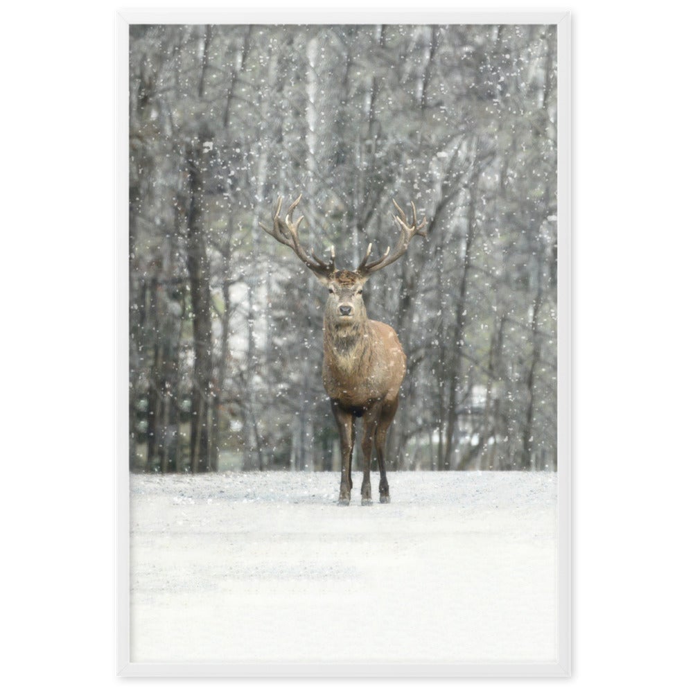 Hi Deer poster | Muurdecoratie | Seizoensgebonden wanddecoratie | Winter editions kunst | Posters kopen