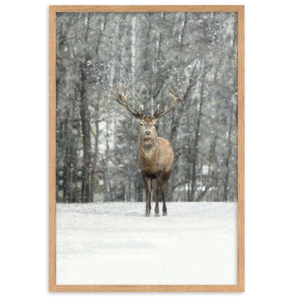 Hi Deer poster | Muurdecoratie | Seizoensgebonden wanddecoratie | Winter editions kunst | Posters kopen
