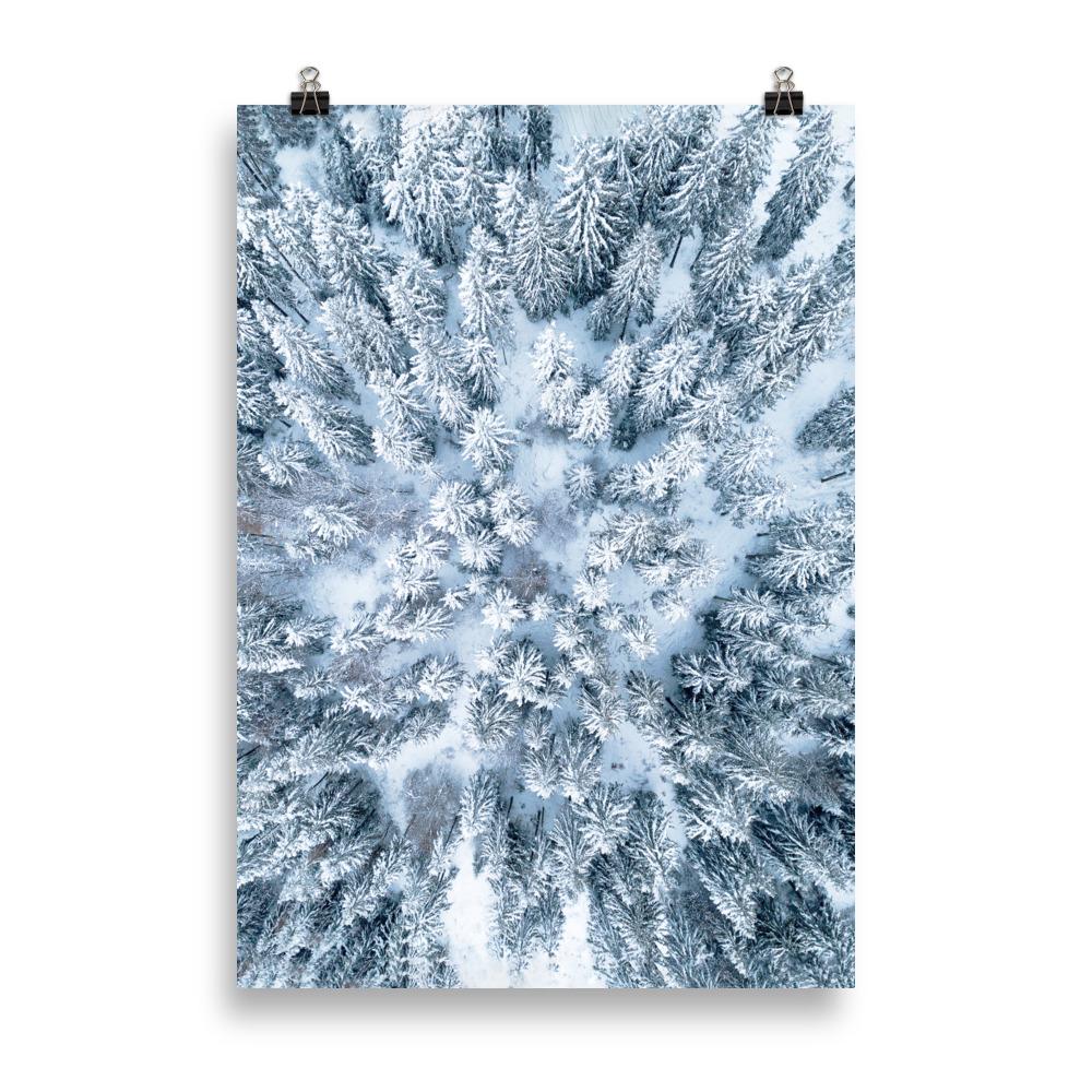 Winter Forest Scene | Natuur Landschap Muurdecoratie | Seizoensgebonden Wanddecoratie | Posters Kunst