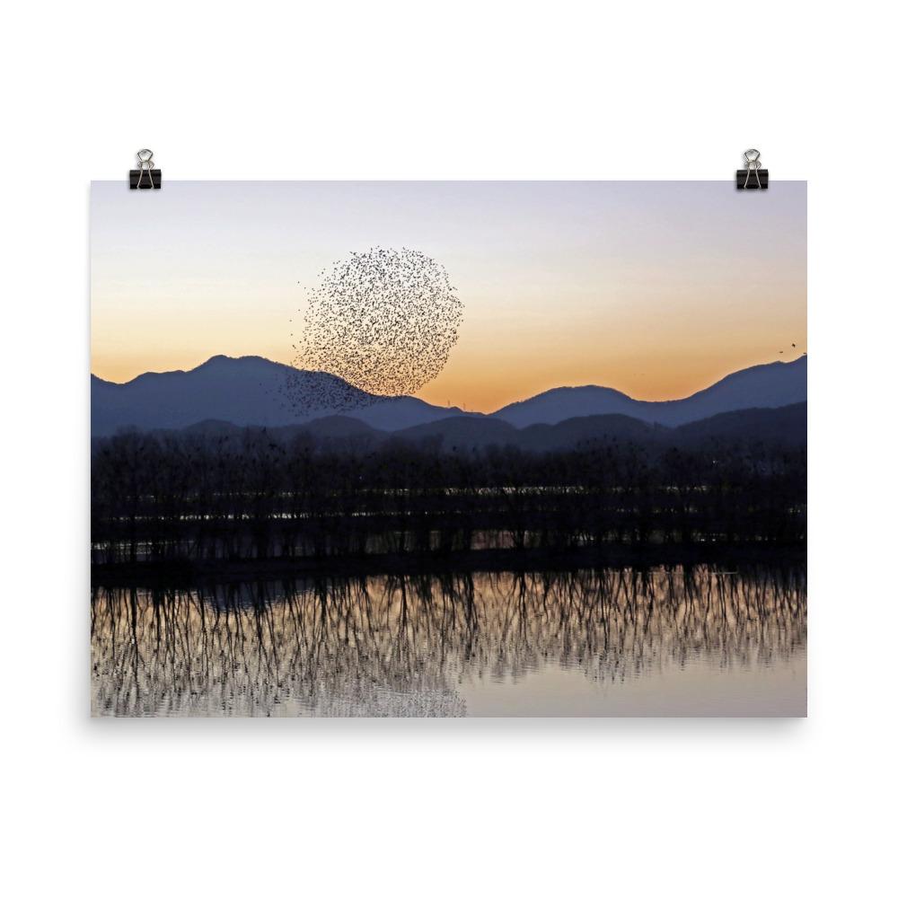 Sunset in Junam Water Reservoir poster | Muurdecoratie | Wanddecoratie | Schilderijen | Canvas kunst