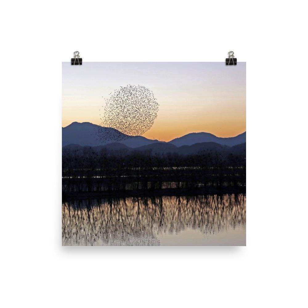 Sunset in Junam Water Reservoir poster | Muurdecoratie | Wanddecoratie | Schilderijen | Canvas kunst
